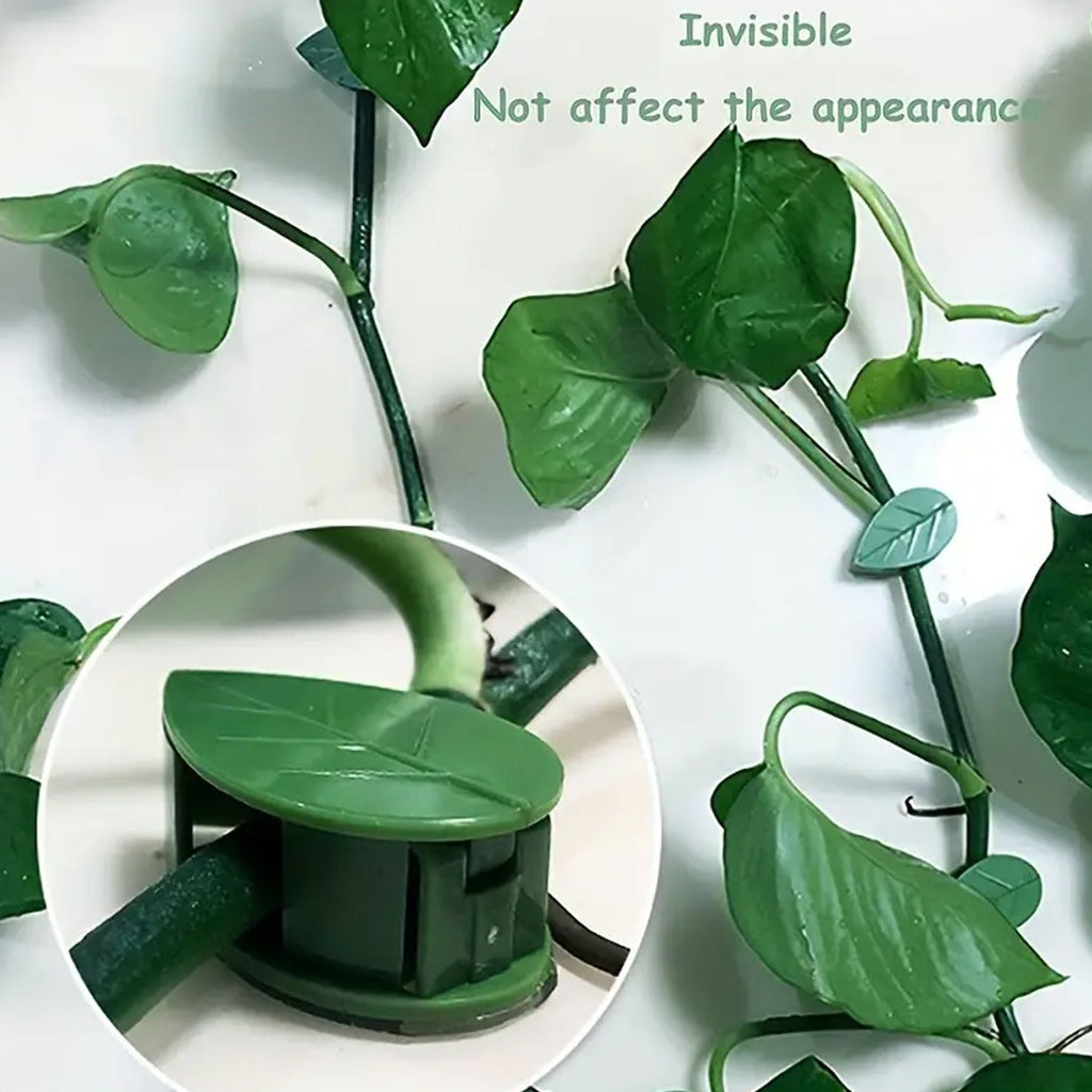 Plant Climbing Wall Clip, Self-Adhesive Vines Support Hooks for Indoor Outdoor Use (10 Pcs Set)