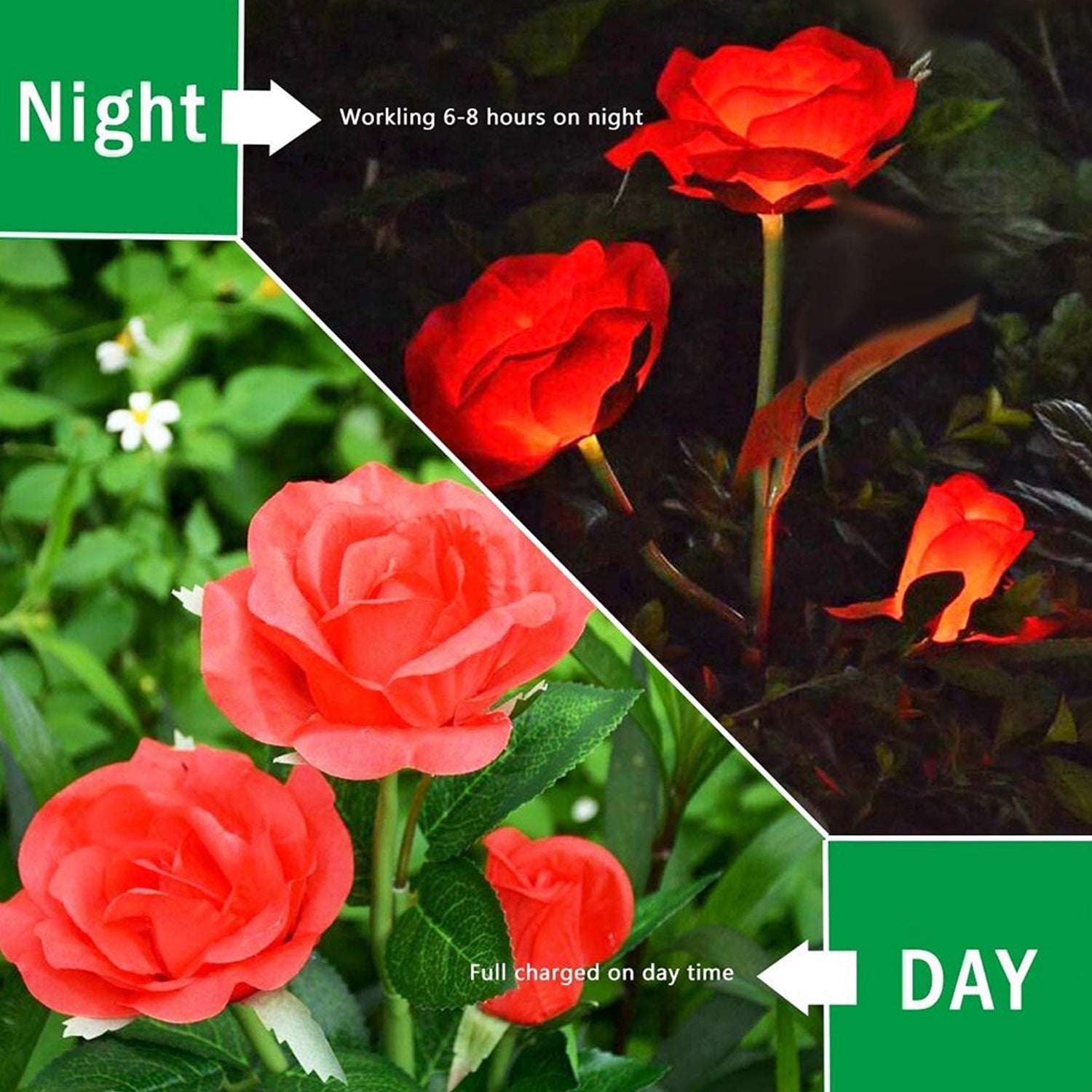 Solar pathway rose lights