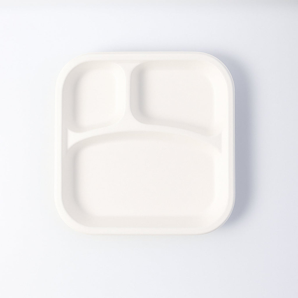 Dinner Plate